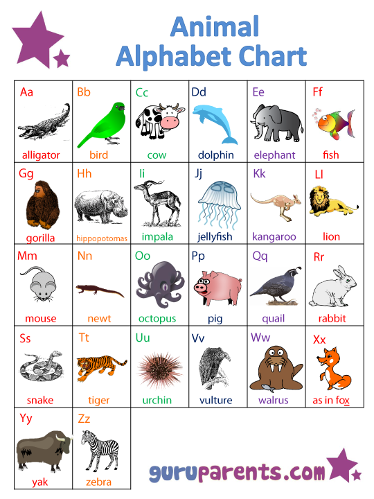 Animals ABC Chart