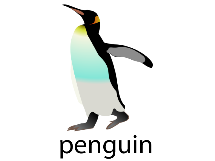 Animal Flashcards - Penguin