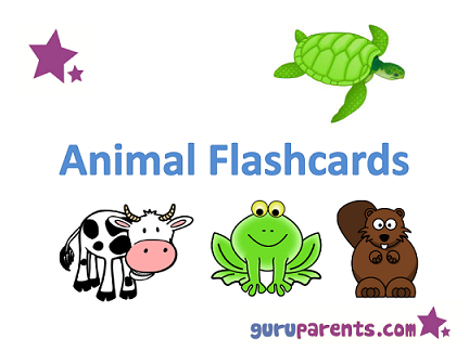 Animal Flashcards | guruparents