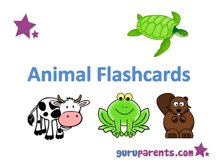 animal flashcards