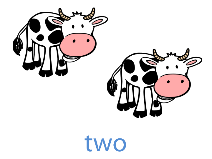 two cows flashcard
