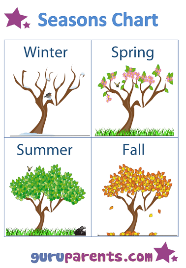 Seasons Chart Trees Northern Hemisphere