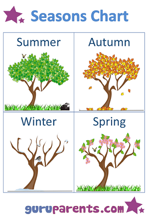 Seasons Chart Trees Southern Hemisphere