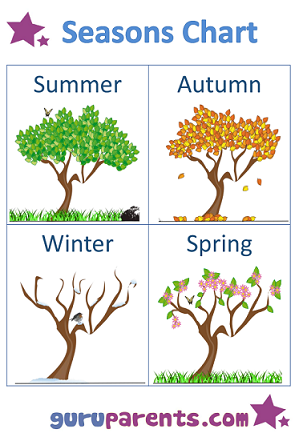 Summer Chart For Preschool